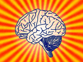 brain article